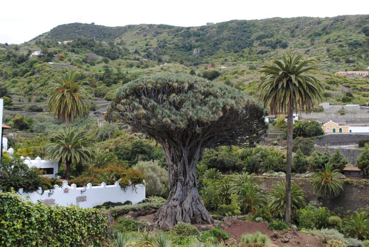 Luis Estudio Adeje Tenerife Sur By Hrtenerife Net 아데제 외부 사진